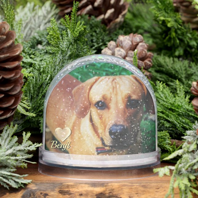 Personnalisé Photo Pet Memorial (Hiver)