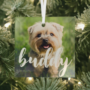 Personnalisé Simple Élégant Pet Photo Ornement