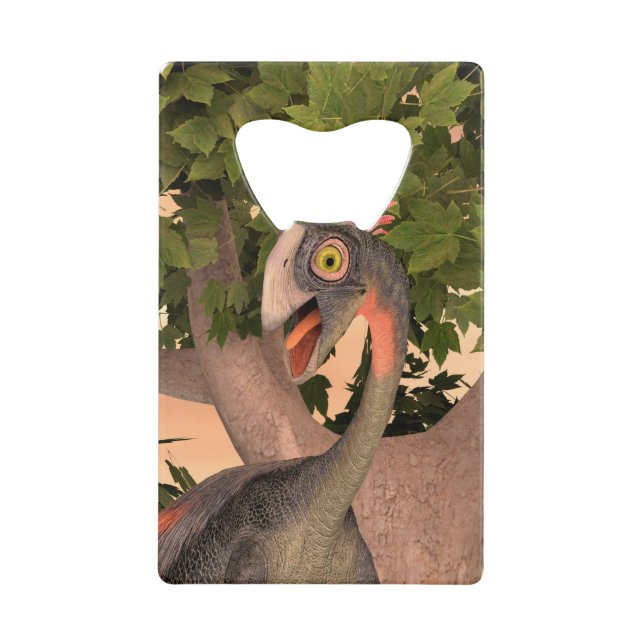 Personnaliser (Devant)