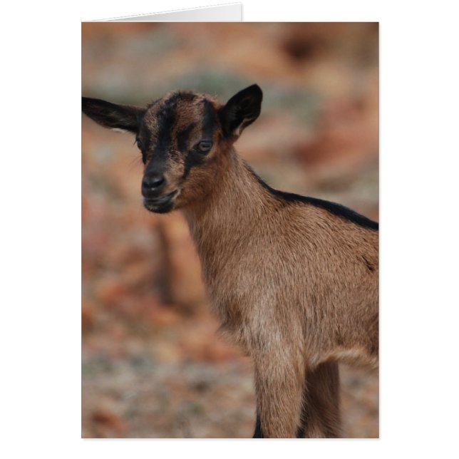 Personnaliser (Devant)