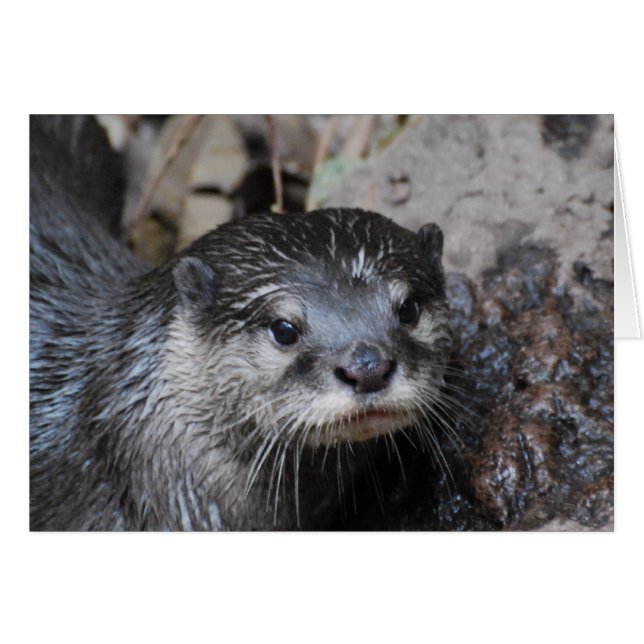 Personnaliser (Devant horizontal)