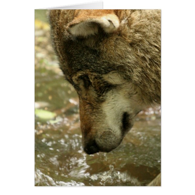 Personnaliser (Devant)