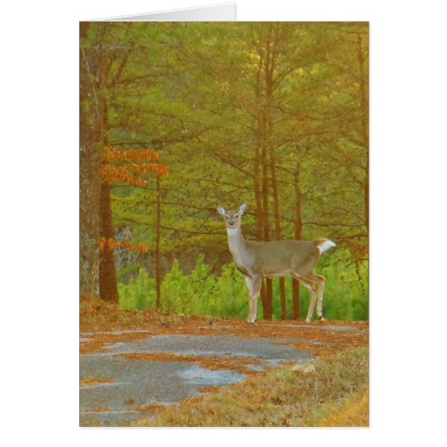 Personnaliser (Devant)