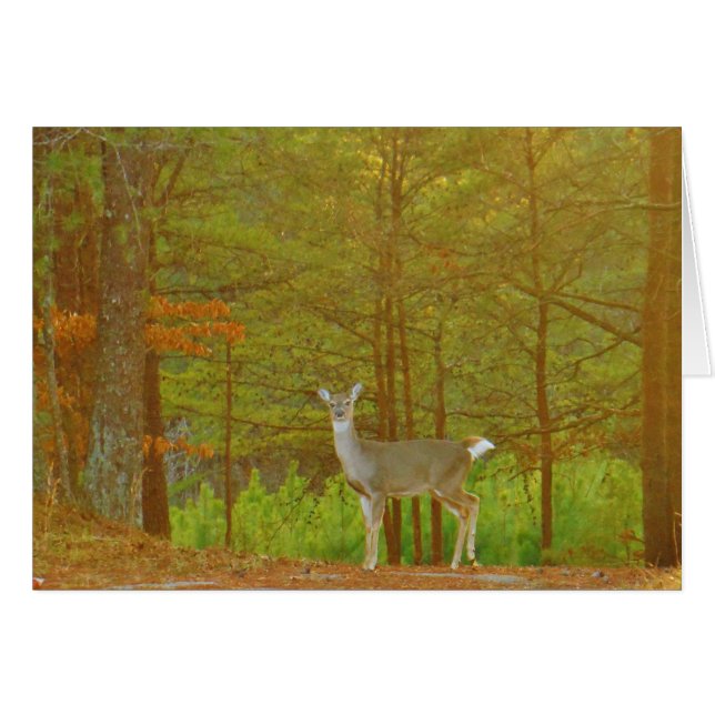 Personnaliser (Devant horizontal)