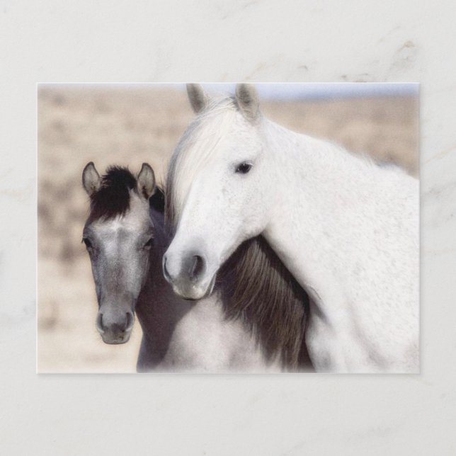 Personnaliser Horse Party Invitations et cartes (Devant)