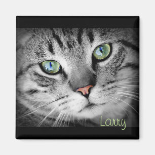 Personnalisez un aimant avec votre animal favori !
