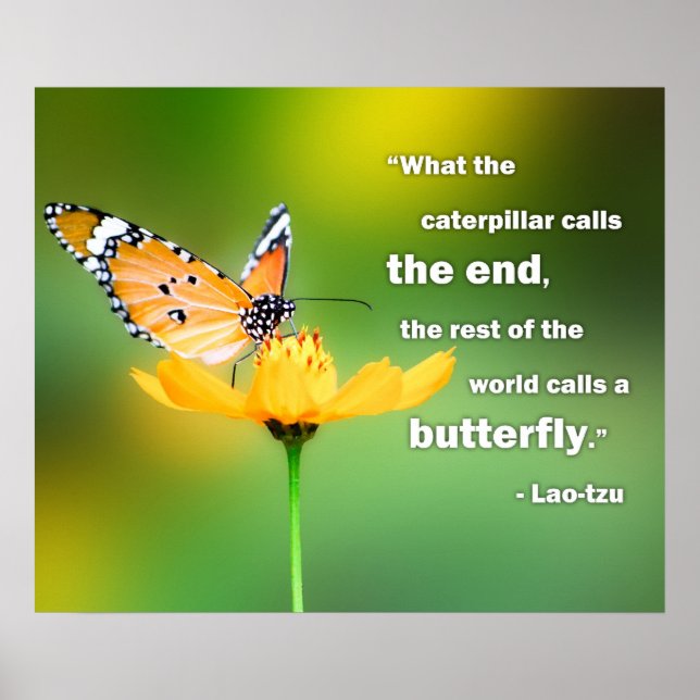 Perspective Poster Lao Tzu (Vorne)