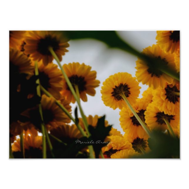 Perspektive Fotodruck (Vorne)