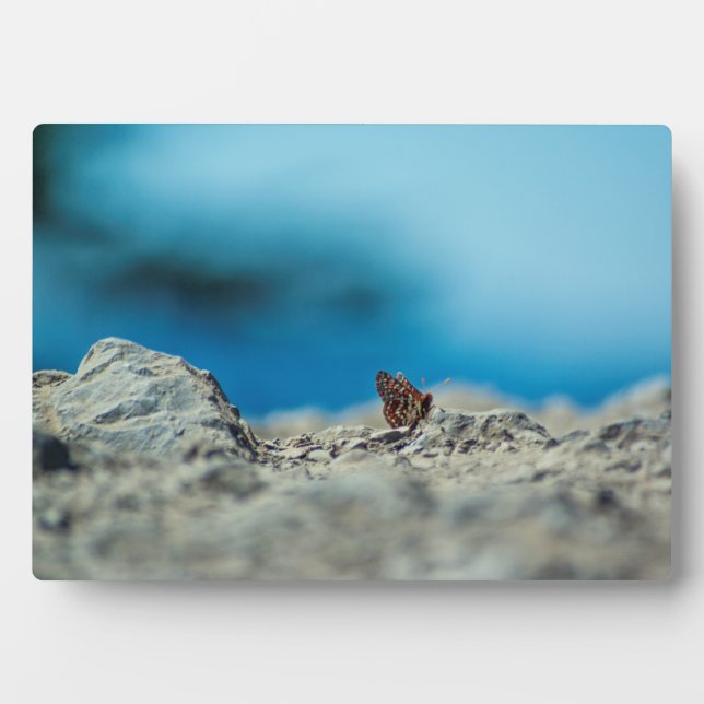 Perspektive Fotoplatte (Vorderseite)