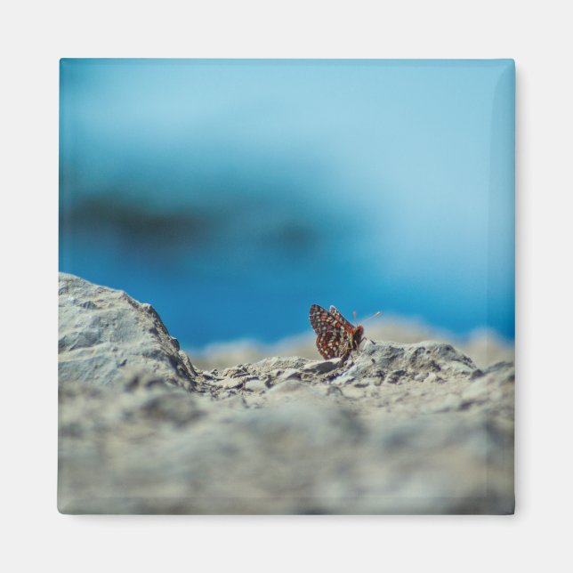 Perspektive Magnet (Vorne)