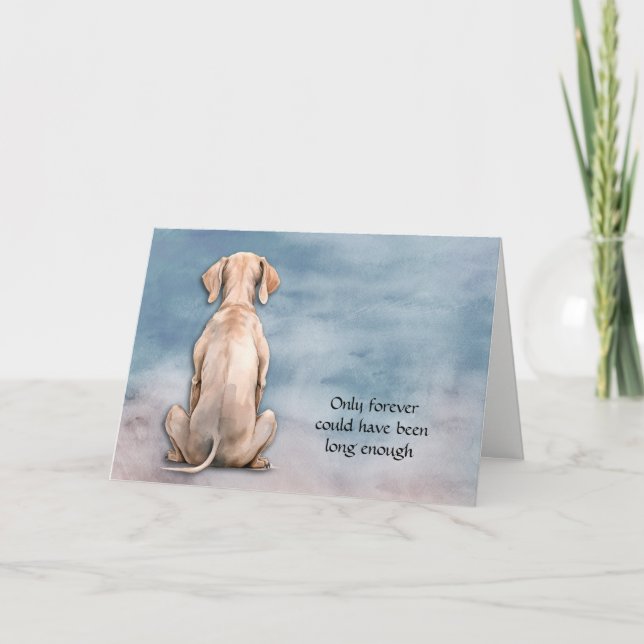 Perte de carte de sympathie de chien Weimaraner (Devant)