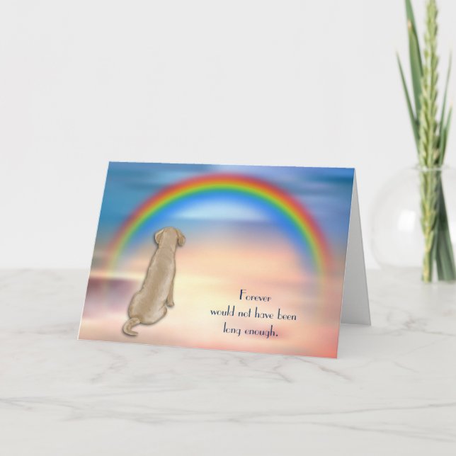 Perte de la carte de sympathie arc-en-ciel du labo (Devant)