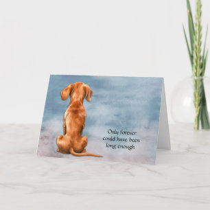 Perte de la carte de sympathie de chien Vizsla