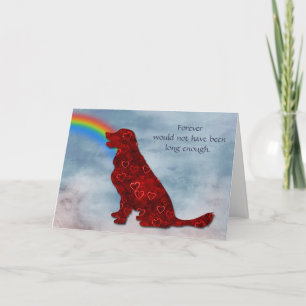 Perte de la carte de sympathie du chien arc-en-cie