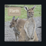 Perth Australia Kangaroo Travel Kühlschrankmagnete Magnet<br><div class="desc">Kühlschrank Magnete stellen sich ein Känguru in Perth, Australien vor.</div>