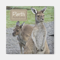 Perth Australia Kangaroo Travel Kühlschrankmagnete