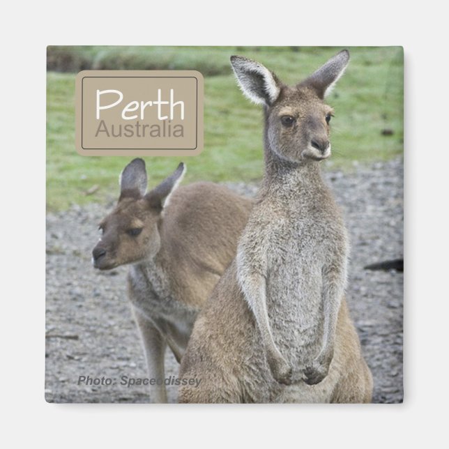 Perth Australia Kangaroo Travel Kühlschrankmagnete Magnet (Vorne)