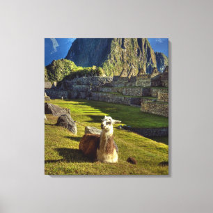 Peru, Anden, Anden-Gebirge, Machu Picchu, Leinwanddruck