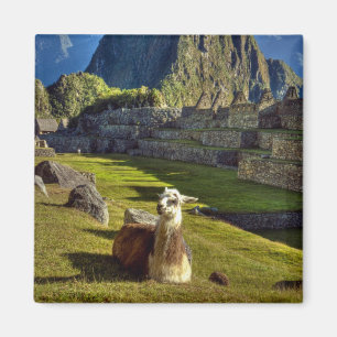Peru, Anden, Anden-Gebirge, Machu Picchu Magnet