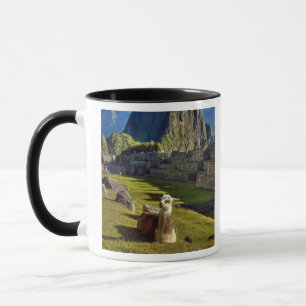 Peru, Anden, Anden-Gebirge, Machu Picchu Tasse