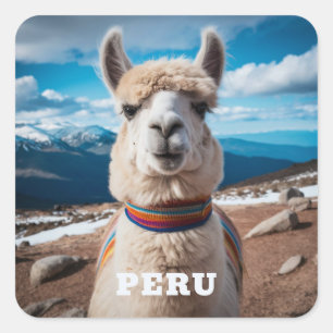 Peru Llama Quadratischer Aufkleber