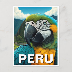 Peru Macaw Postkarte