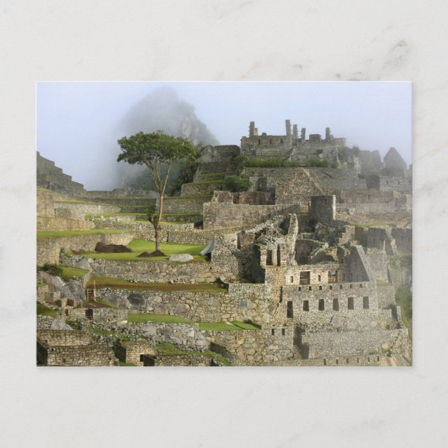 Peru, Machu Picchu. Die alte Zitadelle Postkarte (Vorderseite)