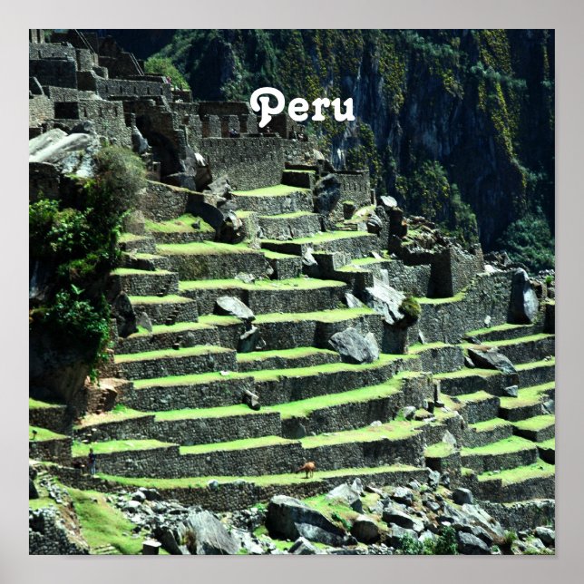 Peru Ruins Poster (Vorne)