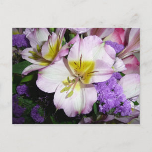 Peruaner Lily Postkarte