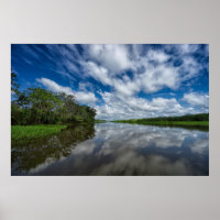 Peruanische Dschungelreflektionen