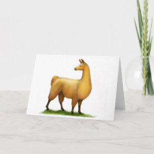 Peruanisches Lama Karte