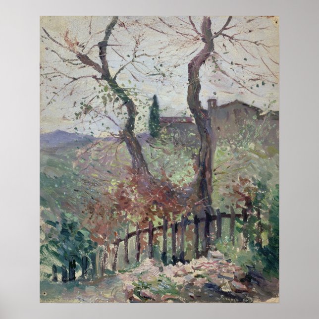Perugia, Umbrien, 1894 Poster (Vorne)