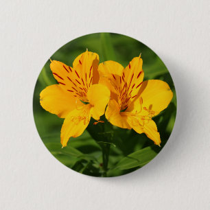 Peruvian Lilies Button
