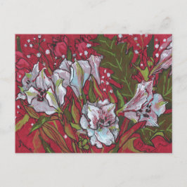 Peruvian Lilies Spring Flowers Postkarte