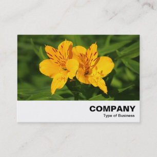 Peruvian Lilies Visitenkarte