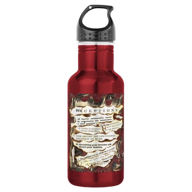 Perzeption Aluminium-Wasser-Flasche Edelstahlflasche (Vorderseite)