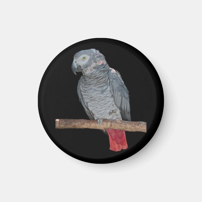 Pesky Parrot Magnet (Vorne)