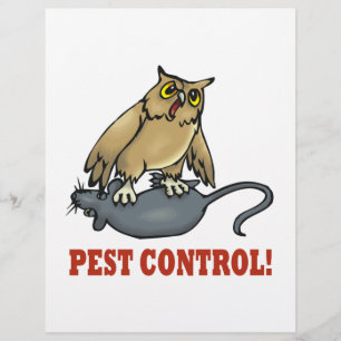Pest-Kontrolle Flyer