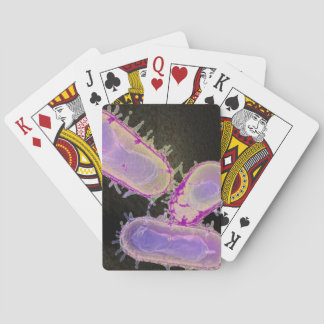 Peste bubonique Cartes à jouer