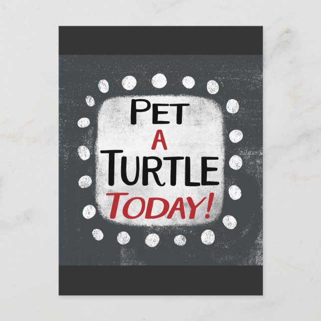 Pet A Turtle Today Carte Postale (Devant)