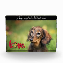 Pet Beileid Heart Paw Print Memory Keepake