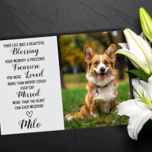 Pet Beileid Personalisiert Foto Pet Loss Karte