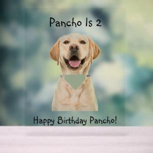 PET BIRTHDAY ACRYLIC SIGN ACRYLSCHILD