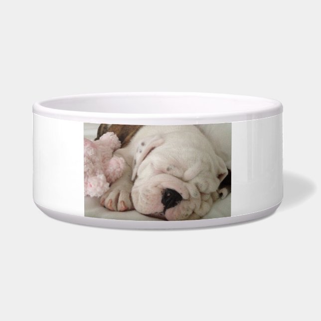 Pet Bowl Bulldog Welpenschläfchen Napf (Vorderseite)