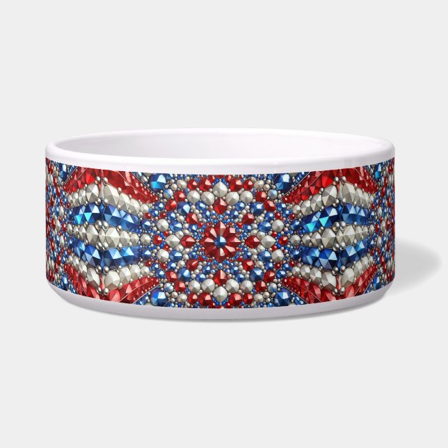 Pet Bowl mit niederländischen Farben Abstract Desi Napf (Vorderseite)