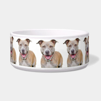 Pet Bowl/Pitbull Napf