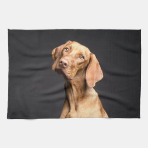 Pet Brown Beagle Dog Geschirrtuch