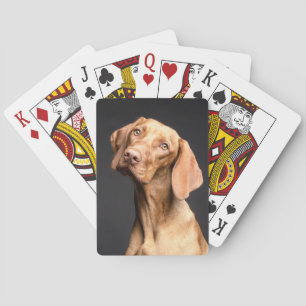 Pet Brown Beagle Dog Spielkarten