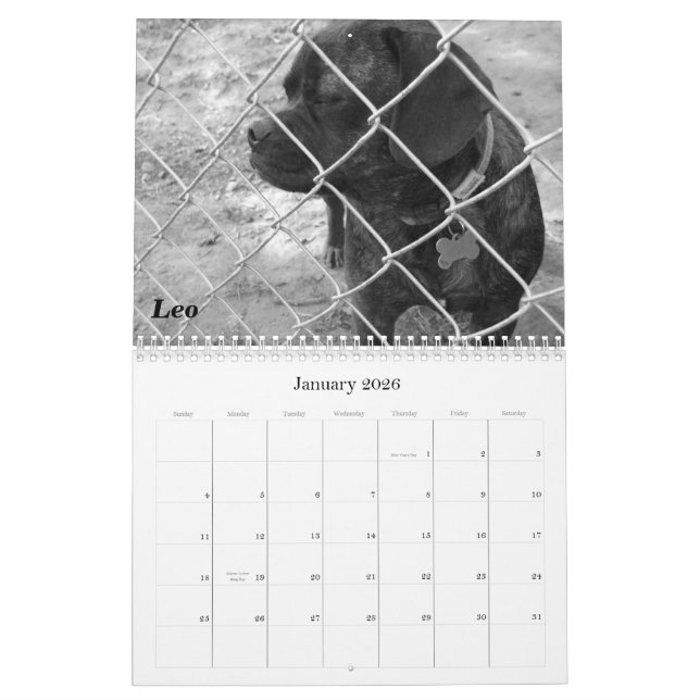 Pet Calendar 2011: Katzen und Hunde Kalender (Jan 2026)