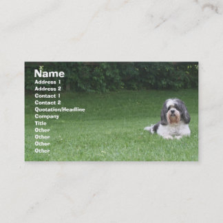 Pet care/pet sitting/yard care business card visitenkarte